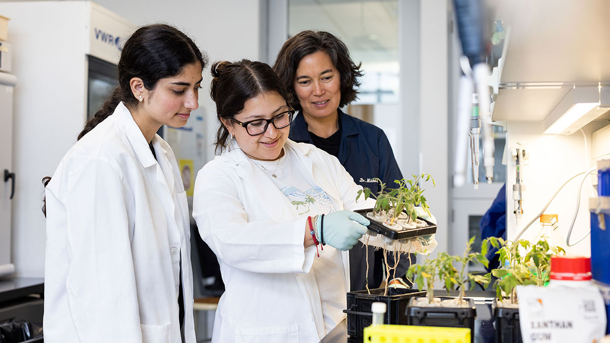 students and faculty in lab